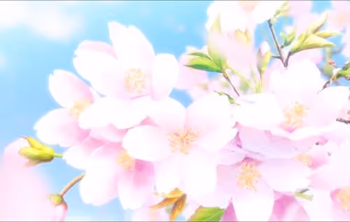 pink flower