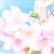 pink flower