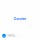Condor V4