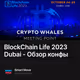 BlockChain Life 2023 Dubai - Обзор конфы