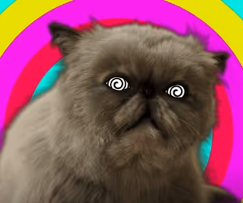 mur mur