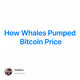 How Whales Pumped Bitcoin Price
