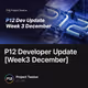 P12 Developer Update [Week3 December]
