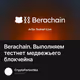Berachain. Выполняем тестнет медвежьего блокчейна