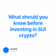 What should you know before investing in SUI crypto?