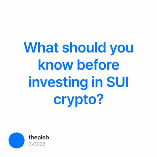 What should you know before investing in SUI crypto?
