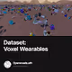 Dataset: Voxel Wearables