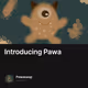 Introducing Pawa