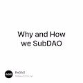 Why and How we SubDAO