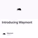 Introducing Waymont