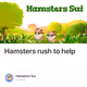 Hamsters rush to help