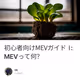 初心者向けMEVガイドⅠ : MEVって何？