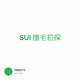 SUI 撸毛初探