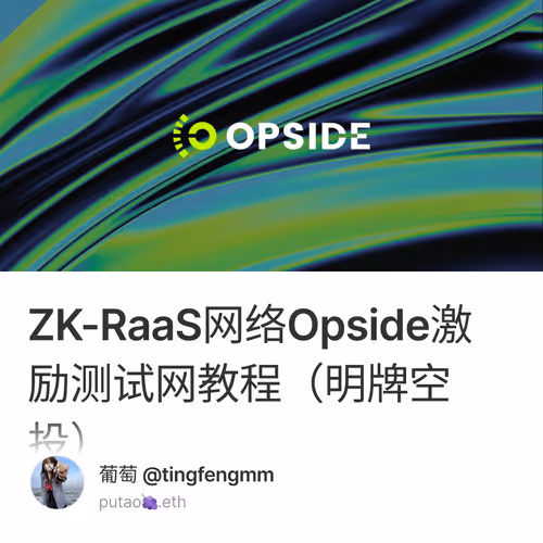 ZK-RaaS网络Opside激励测试网教程（明牌空投）