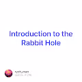 Introduction to the Rabbit Hole