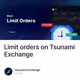 Limit orders on Tsunami Exchange