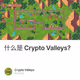 什么是 Crypto Valleys?
