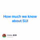 How much we know about SUI