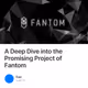 A Deep Dive into the Promising Project of Fantom