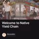 Welcome to Native Yield Chain