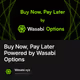 Buy Now, Pay Later Powered by Wasabi Options