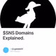 $SNS Domains Explained.