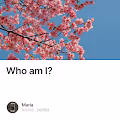 Who am I? - BFDeLbKXw8