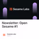 Newsletter: Open Sesame #1