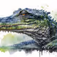 croco art