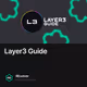 Layer3 Guide
