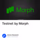 Testnet by Morph