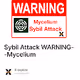 Sybil Attack WARNING--Mycelium