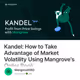 Kandel: How to Take Advantage of Market Volatility Using Mangrove's Order Book