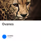 Ovanes