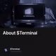 About $Terminal