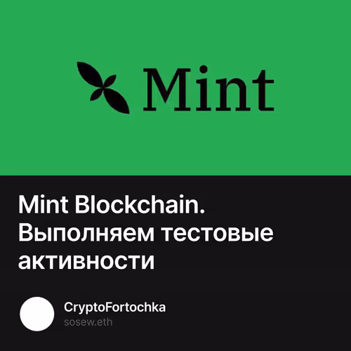 Mint Blockchain. Выполняем тестовые активности