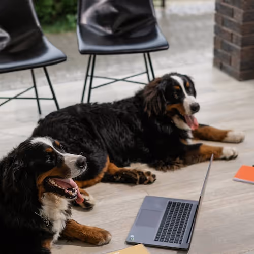 0xe36ee0f77b7fdb44e5db3d1ea3bb27fee9985268