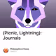 (Picnic, Lightning): Journals