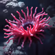 Anemone Enemy
