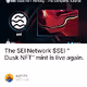 The SEI Network $SEI "Dusk NFT" mint is live again.