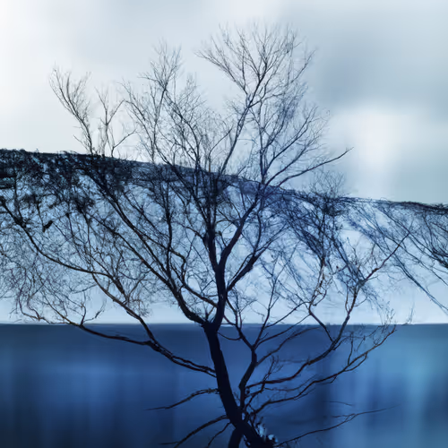 lonely echo