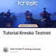 Tutorial Kresko Testnet