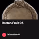 Rotten Fruit 05