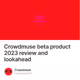 Crowdmuse beta product 2023 review and lookahead
