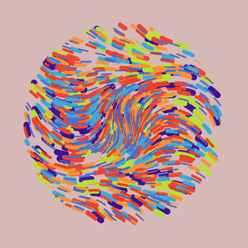 Seed Phrase
