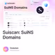 Suiscan: SuiNS Domains