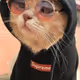 SmartCat
