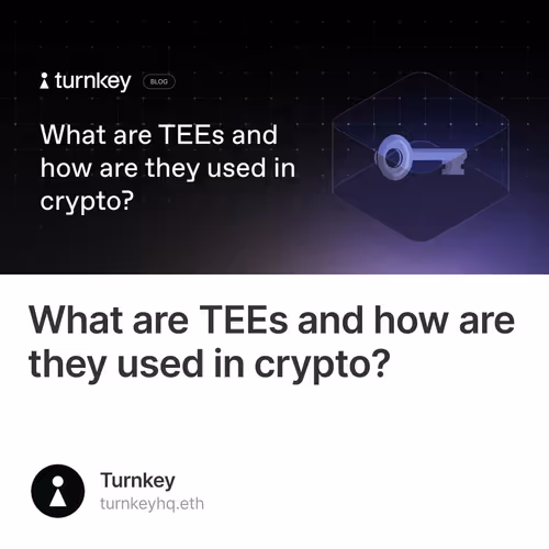What are TEEs and how are they used in crypto?