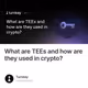 What are TEEs and how are they used in crypto?