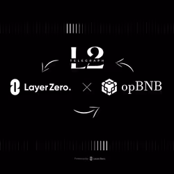 Item Media Placeholder